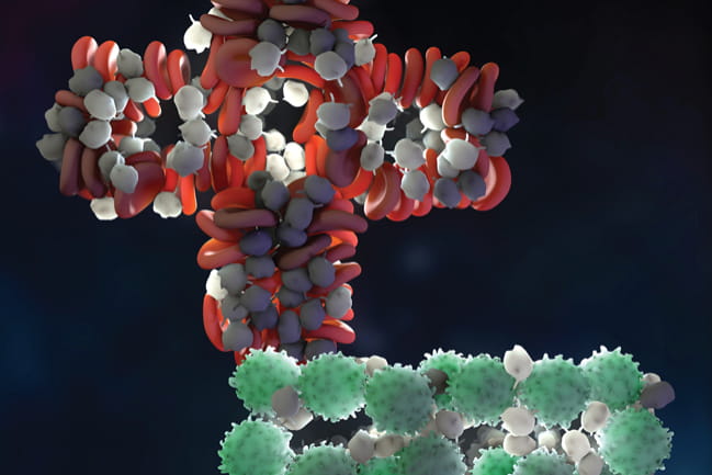 Stylized illustration of a T cell and platelet.